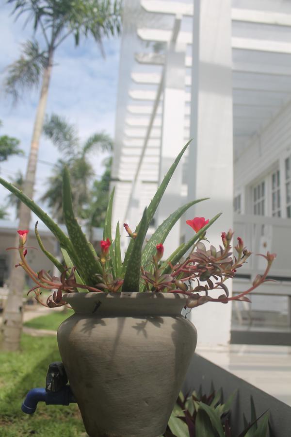 Hotel Casa Blanca Gili Air Exterior foto
